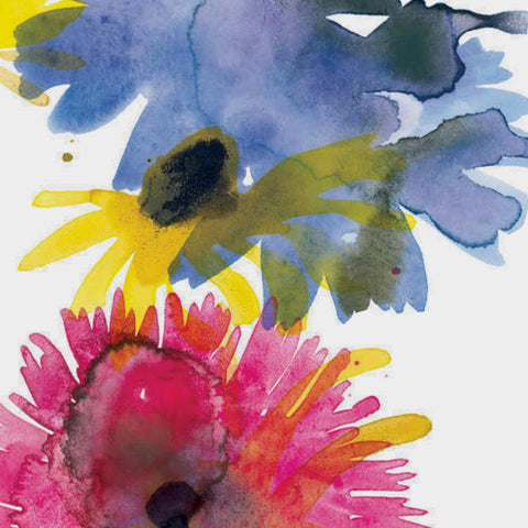 American Wildflowers: The Boston Book Launch