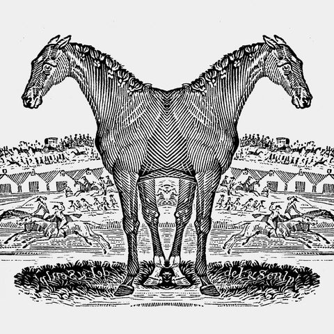 Greer Allen: A Horse for Any Course