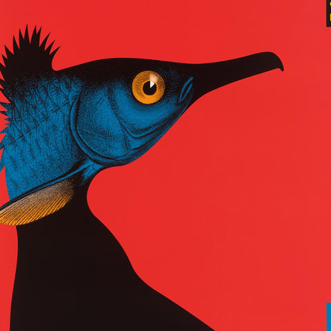 Kormoran & Fische (Claude Kuhn)