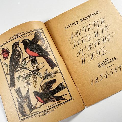 Syllabaire des Oiseaux du Pays: ABC Grand Duc