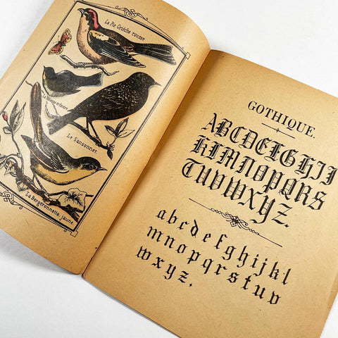 Syllabaire des Oiseaux du Pays: ABC Grand Duc