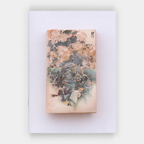 Andrea Burgay: Fictions