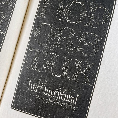 The Calligraphic Models of Ludovico Degli Arrighi surnamed Vicentino