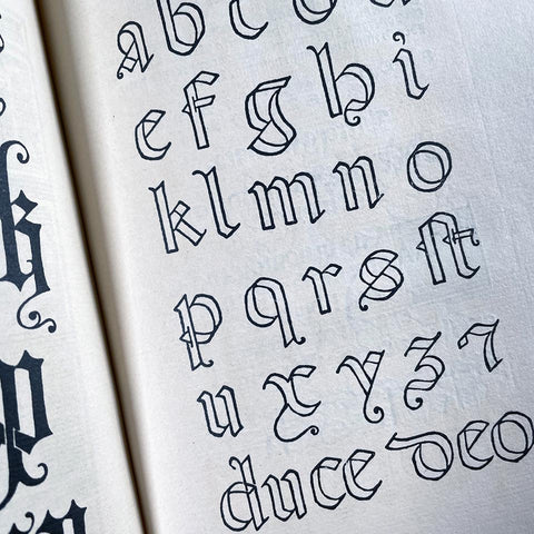 The Calligraphic Models of Ludovico Degli Arrighi surnamed Vicentino