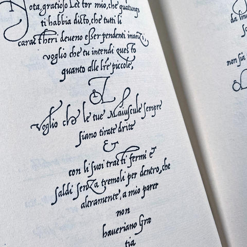 The Calligraphic Models of Ludovico Degli Arrighi surnamed Vicentino
