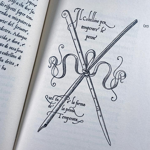 The Calligraphic Models of Ludovico Degli Arrighi surnamed Vicentino