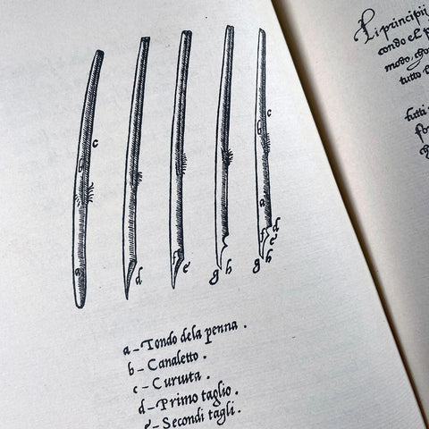 The Calligraphic Models of Ludovico Degli Arrighi surnamed Vicentino