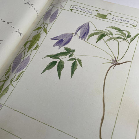 The Casa Fontanalba Visitors’ Book
