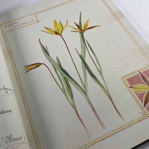 The Casa Fontanalba Visitors’ Book
