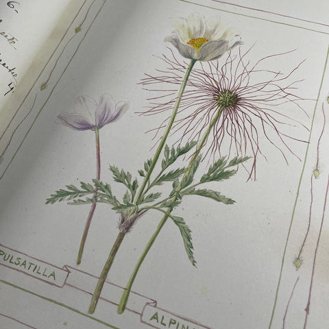 The Casa Fontanalba Visitors’ Book