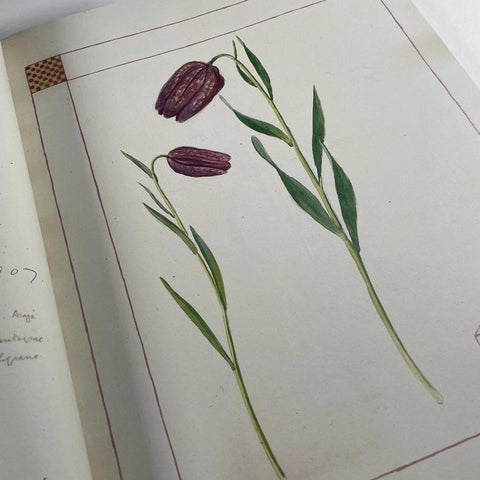 The Casa Fontanalba Visitors’ Book