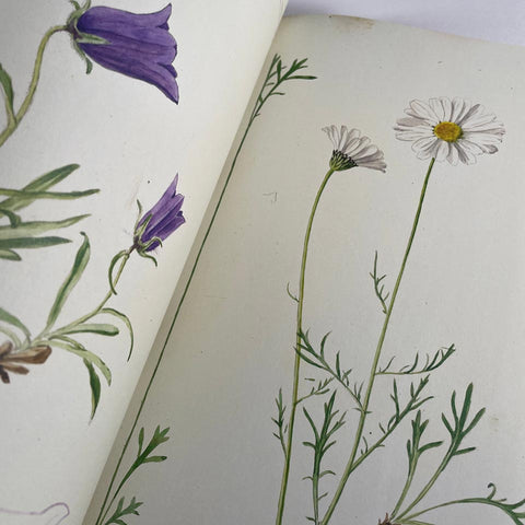 The Casa Fontanalba Visitors’ Book