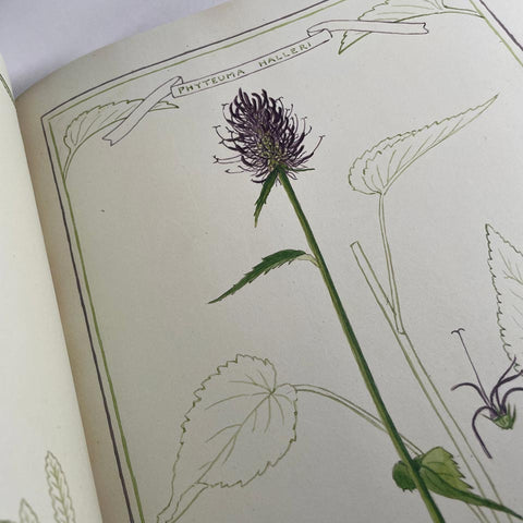 The Casa Fontanalba Visitors’ Book