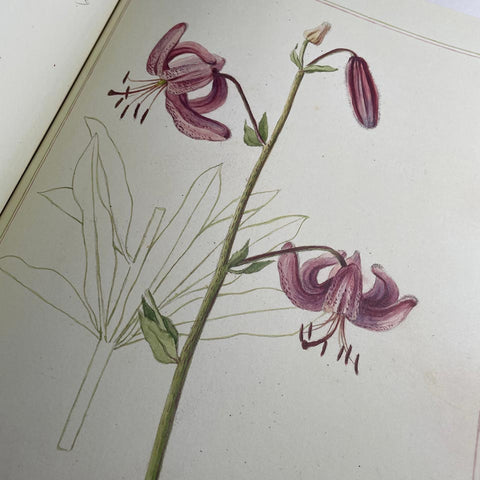 The Casa Fontanalba Visitors’ Book