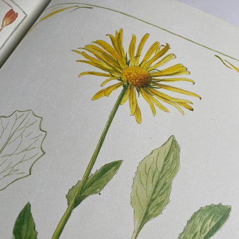 The Casa Fontanalba Visitors’ Book