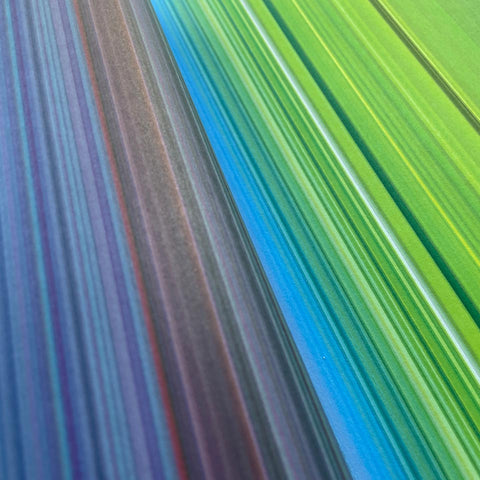 Colour, Based on Nature (Irma Boom)