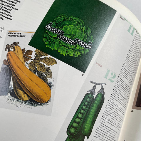 Design Quarterly 116; WGBH, Boston: A Design Anatomy