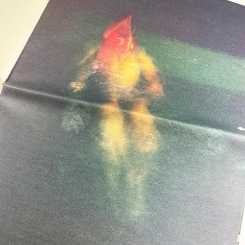 Design Quarterly 133: Does it make sense? (April Greiman)