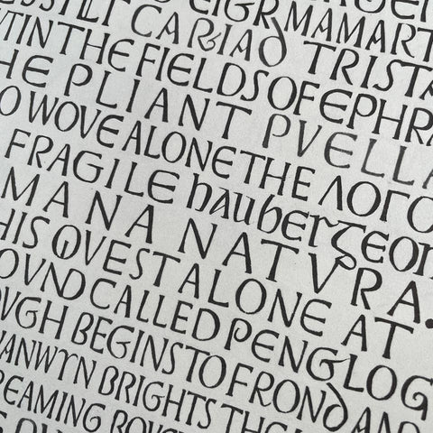 The Painted Inscriptions of David Jones