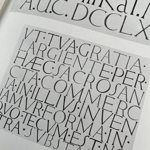 The Painted Inscriptions of David Jones