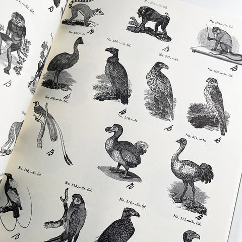 William Davison’s New Specimen of Cast-Metal Ornaments and Wood Types
