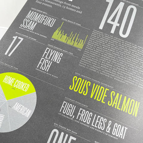Feltron 2008 Annual Report