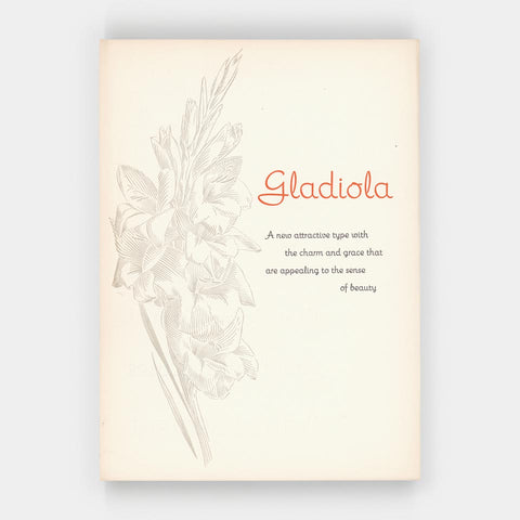 Gladiola