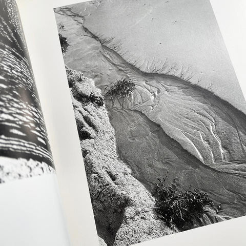 Hans Finsler: Neue Wege der Photographie