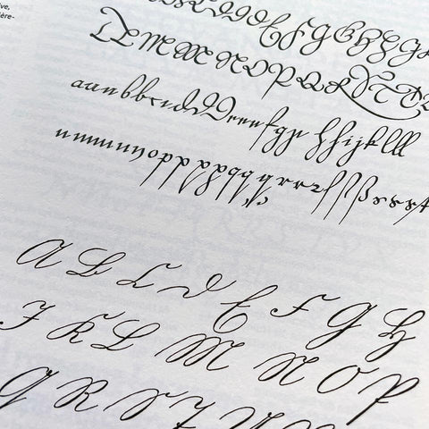 ABC: History and Form of the Latin Script