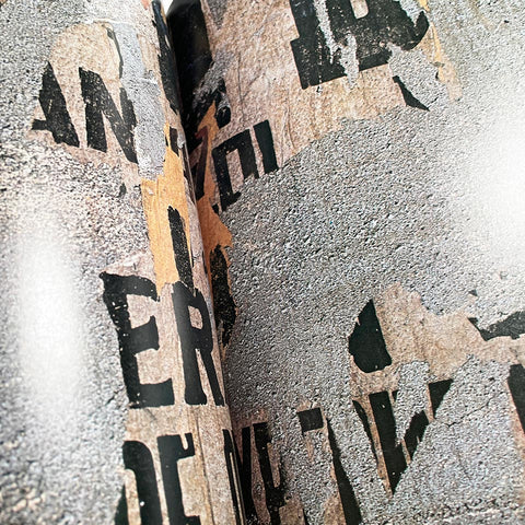 Idea: Special Issue (Typography Today)