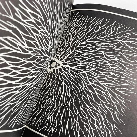 (Kiyoshi Awazu Scrapbook)