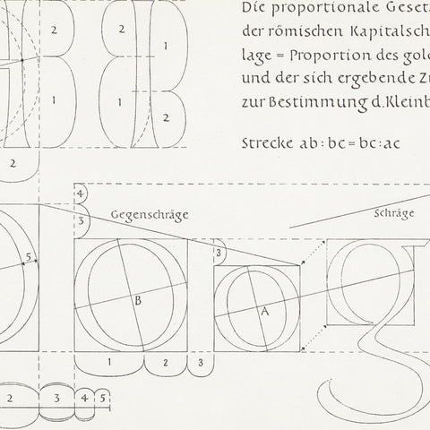 (The proportional regularity of Roman capitals) (Walter Käch)