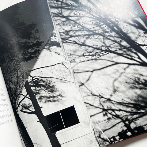 Kazuo Shinohara 2: 11 Houses and Architectural Theory
