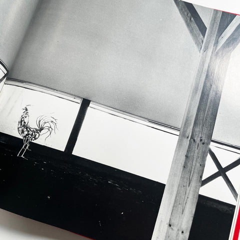 Kazuo Shinohara 2: 11 Houses and Architectural Theory