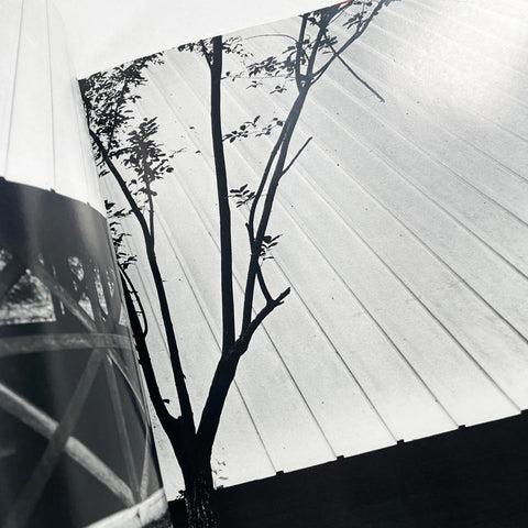 Kazuo Shinohara 2: 11 Houses and Architectural Theory