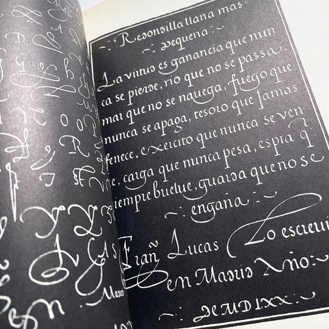 Meisterbuch der Schrift