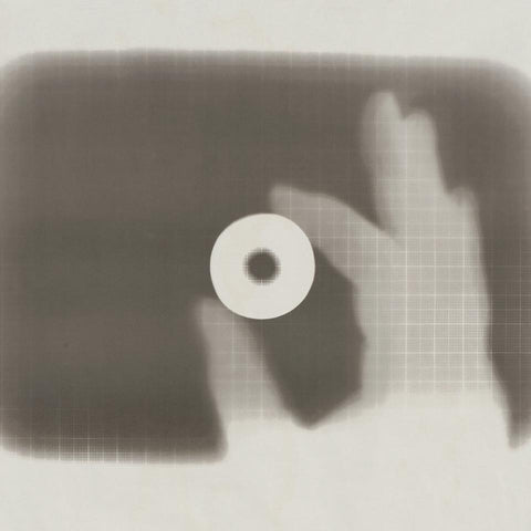 Anwesenheit bei Abwesenheit: Fotogramme und die Kunst des 20. Jahrhunderts (Bruno Monguzzi)
