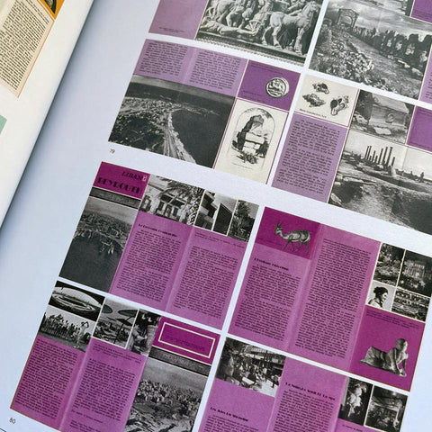 Mouna Bassili Sehnaoui: The First Lebanese Woman Graphic Designer to Brand her Nation