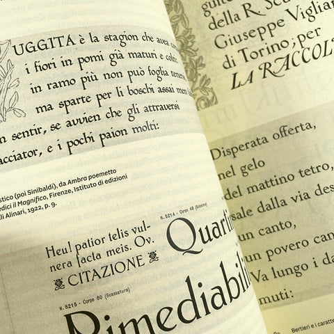 The Nebiolo Typefoundry, 1878–1978: New Critical Assessments