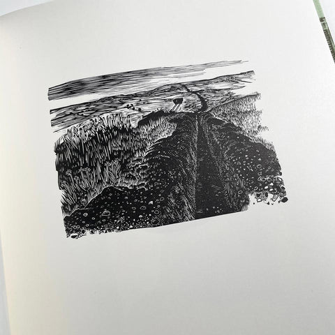 The Engraver’s Cut: Hilary Paynter