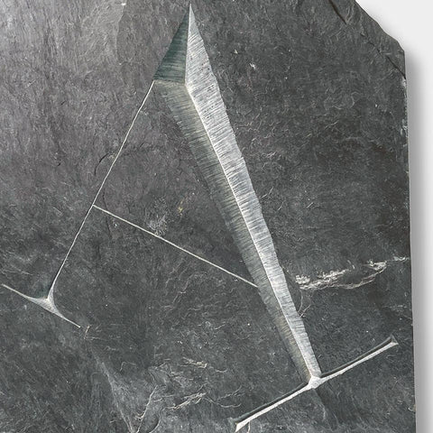 [a cap A cut by Philip Surey]