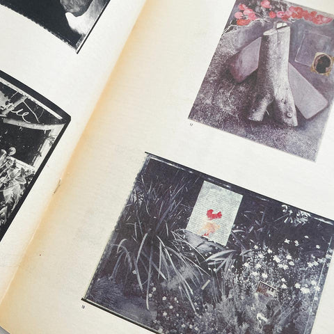 Photo Metro (Vol. 11, No. 101; August 1992)