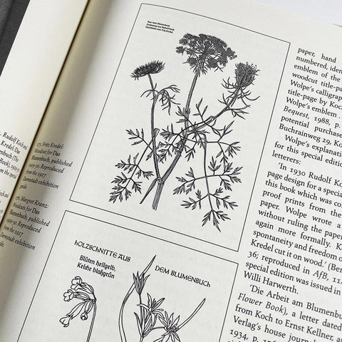 Rudolf Koch: Letterer, Type Designer, Teacher