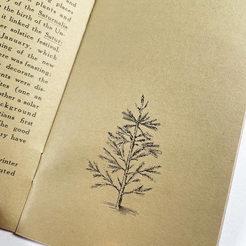 [5 holiday booklets from Sam Antupit’s Cycling Frog Press]