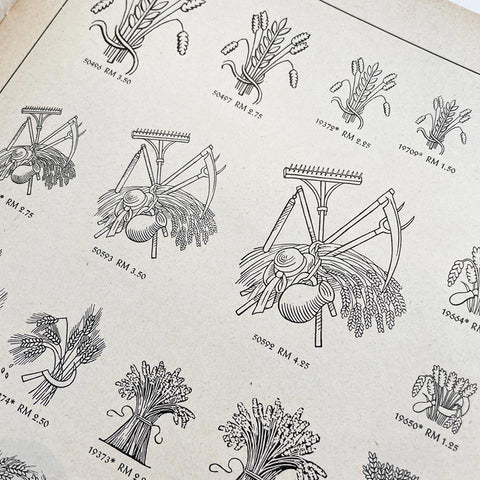 Schönheit im Buchdruck