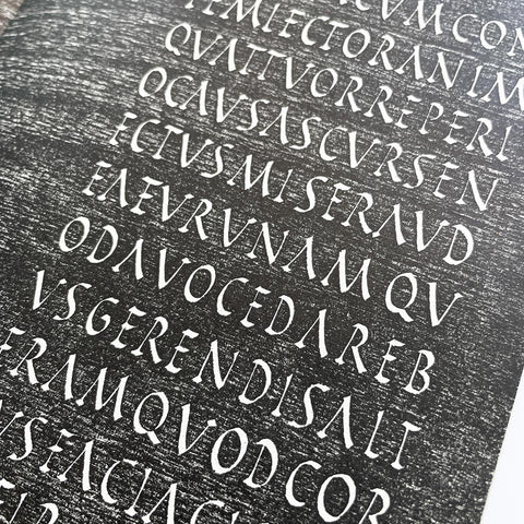 Schrift Ecriture Lettering: The Development of European Letter Types Carved in Wood (Adrian Frutiger)