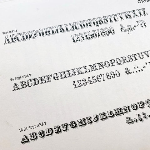 [a packet of specimens from Stevens, Shanks & Sons]