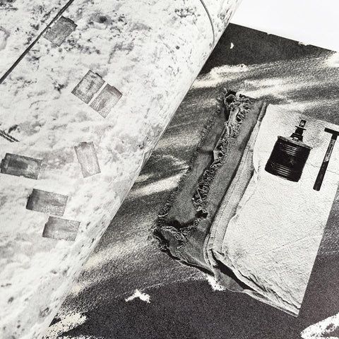 Typografische Monatsblätter (4.1979; offprint)