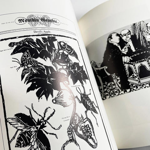 The Left-Handed Designer