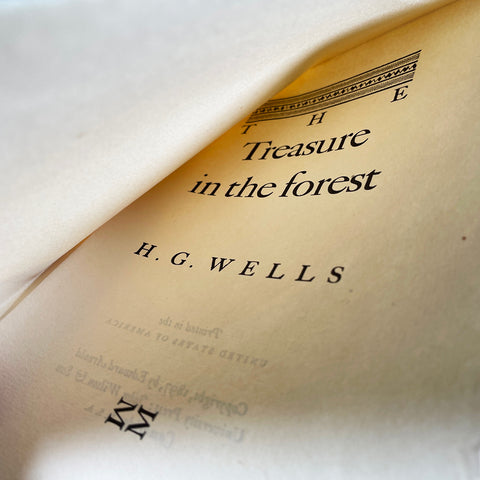 The Treasure in the Forest (Dwiggins)